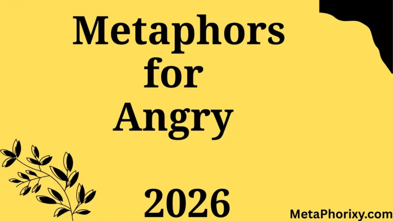 Metaphors for Angry