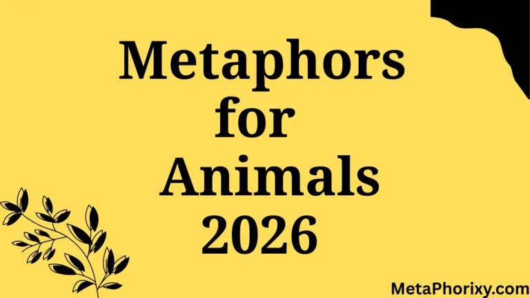 Metaphors for Animals