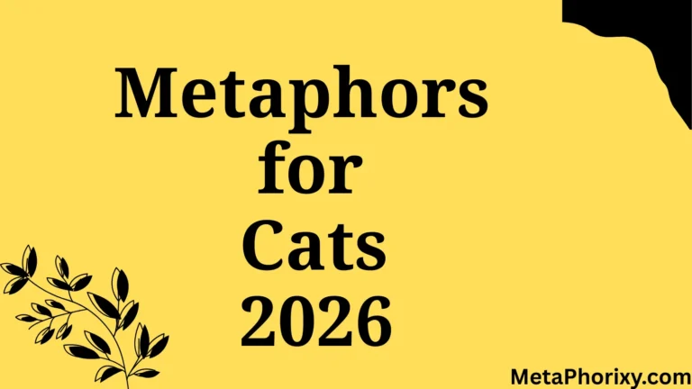 Metaphors for Cats
