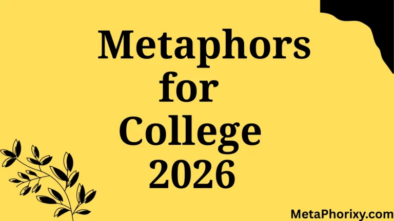 Metaphors for College