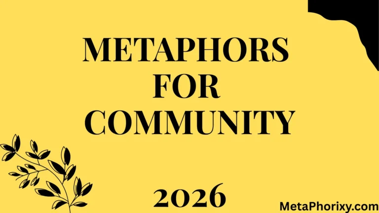 Metaphors for Community