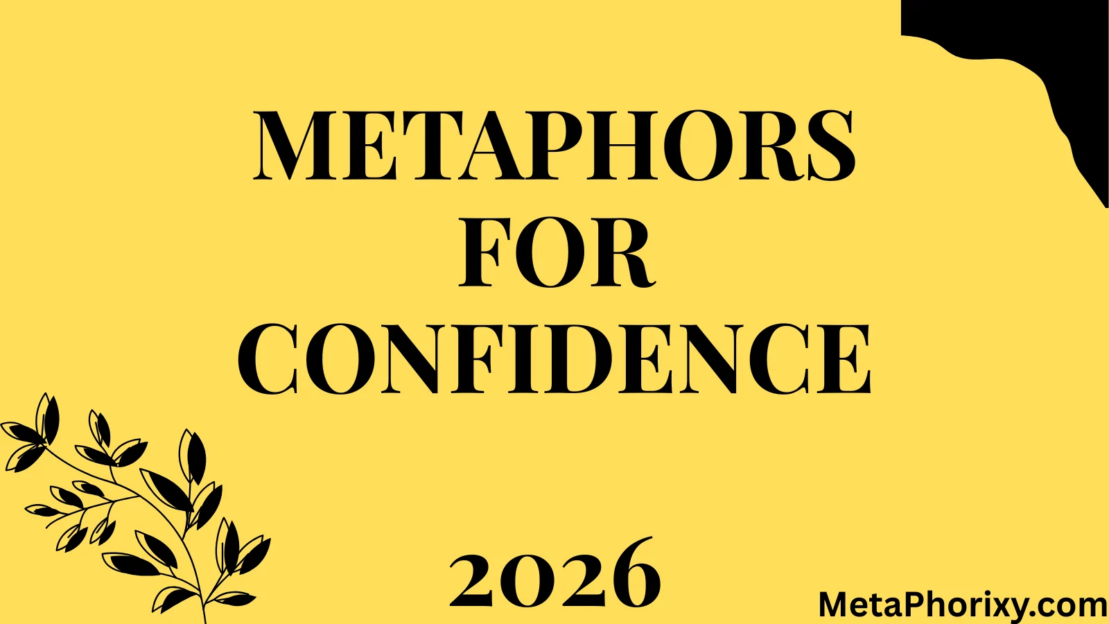 Metaphors for Confidence