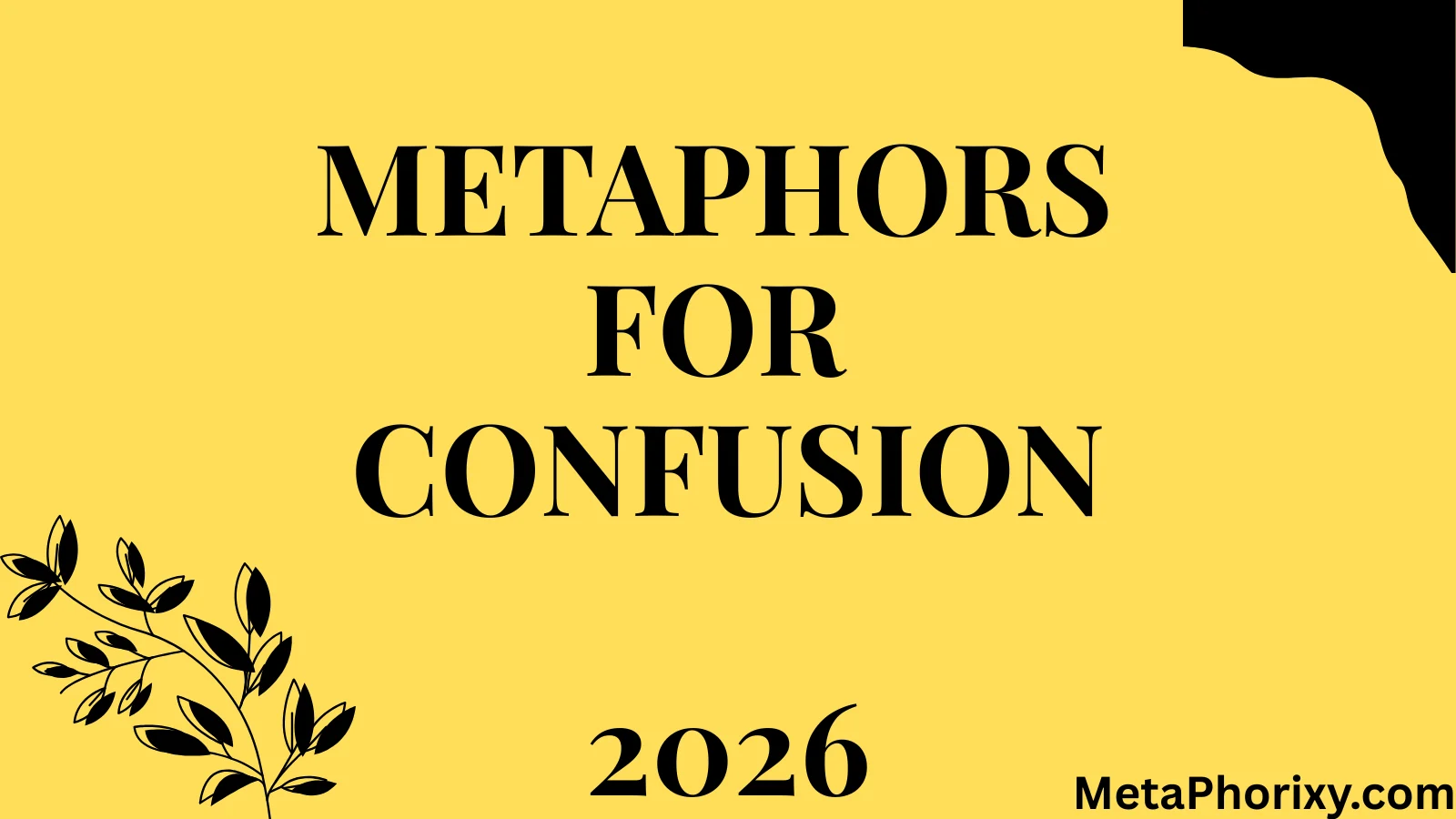 Metaphors for Confusion