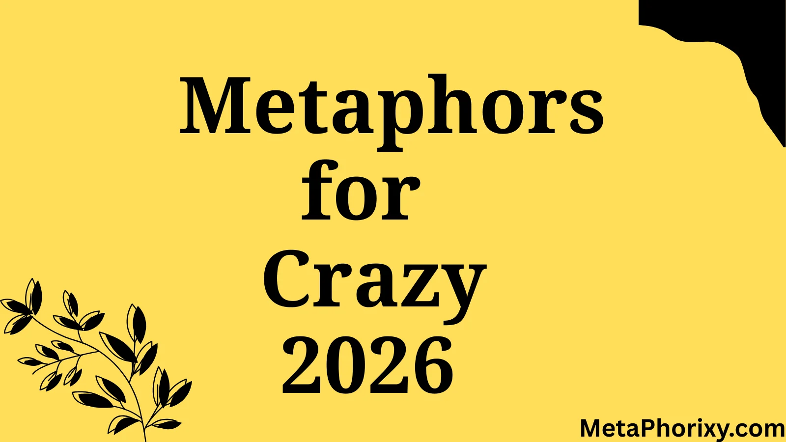 Metaphors for Crazy