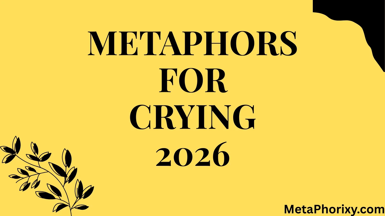 Metaphors for Crying