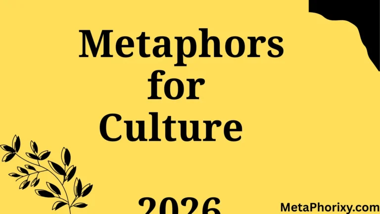 Metaphors for Culture