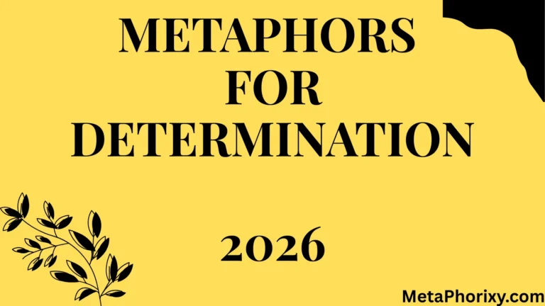 Metaphors for Determination
