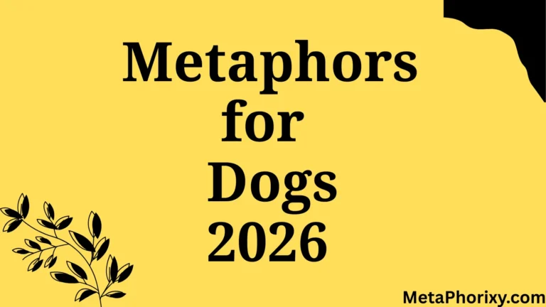 Metaphors for Dogs