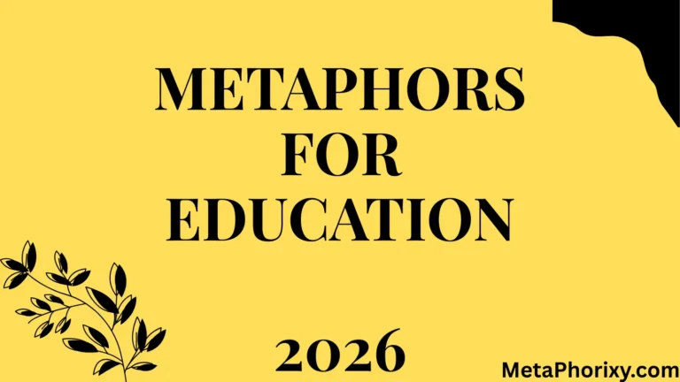 Metaphors for Education