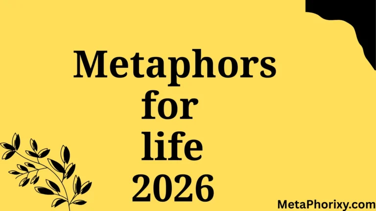 Metaphors for Life