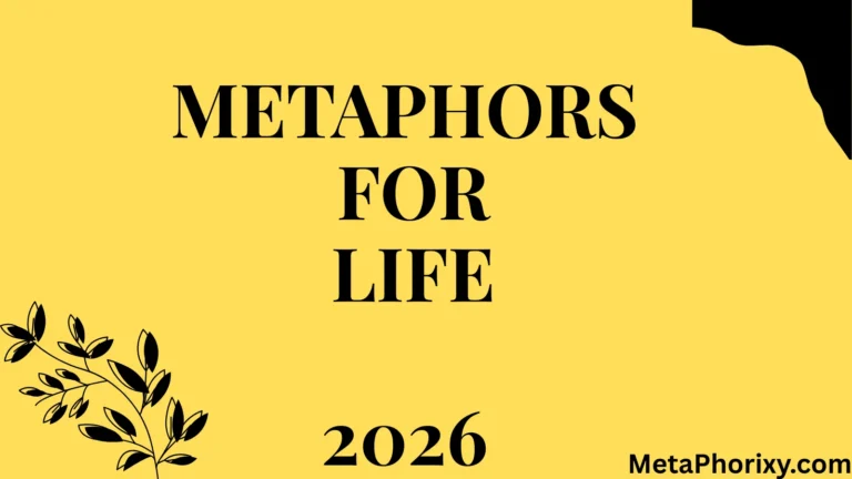 Metaphors for Life