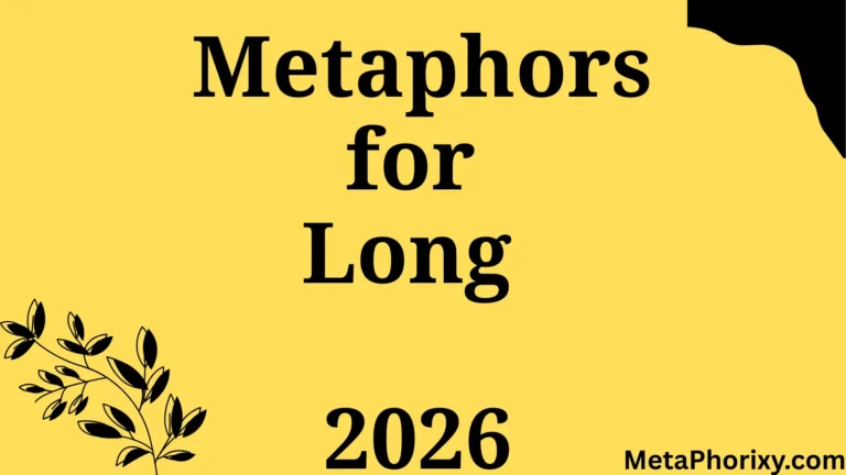 Metaphors for Long