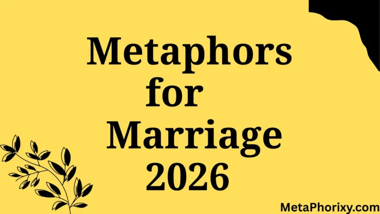 Metaphors for Marriage