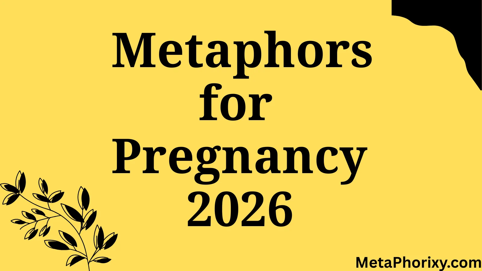 Metaphors for Pregnancy