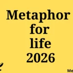 metaphor for life
