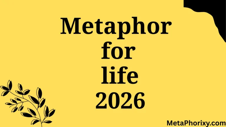 metaphor for life