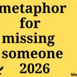 metaphor for missing someone