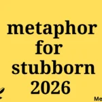 metaphor for stubborn