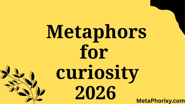 metaphor for curiosity
